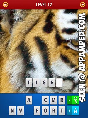 zoom mgnified pics answers level 12