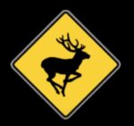 Deer crossing