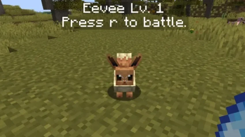 How to find Eevee